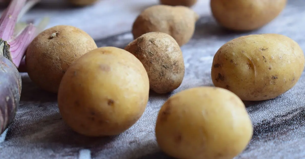 Comment Incorporer les Légumes Racines dans vos Menus