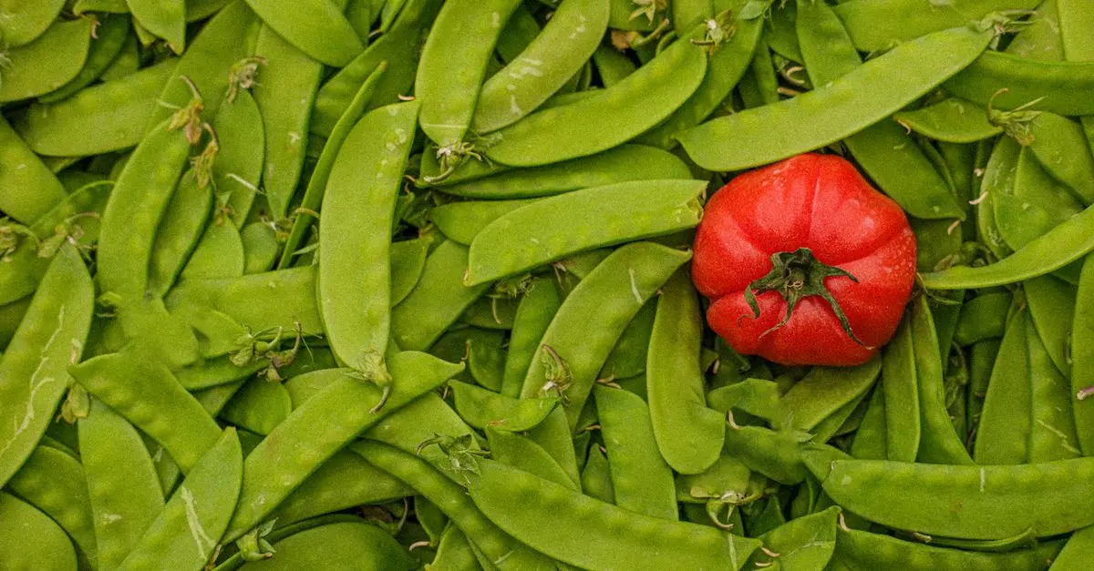 Comment Composer un Panier de Légumes Équilibré et Varié