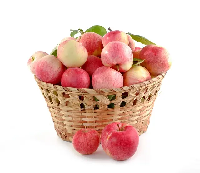 Les Bienfaits Surprisingly Unattendus des Paniers de Légumes Locaux
