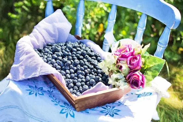 Comment Préparer un Panier de Légumes Équilibré et Nutritif