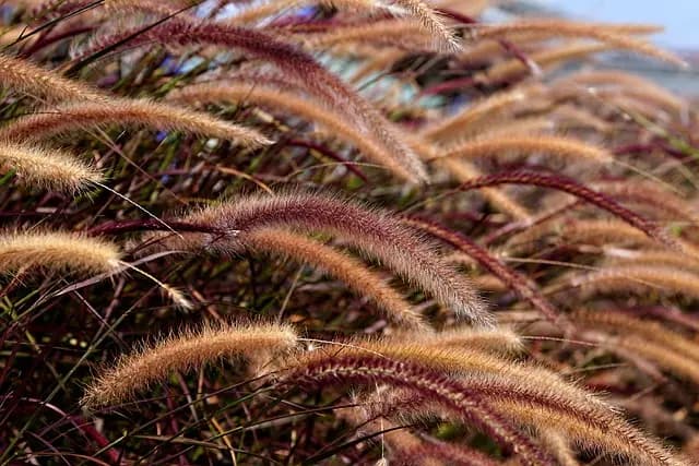 Comment Créer un Panier de Légumes Écologique et Équilibré