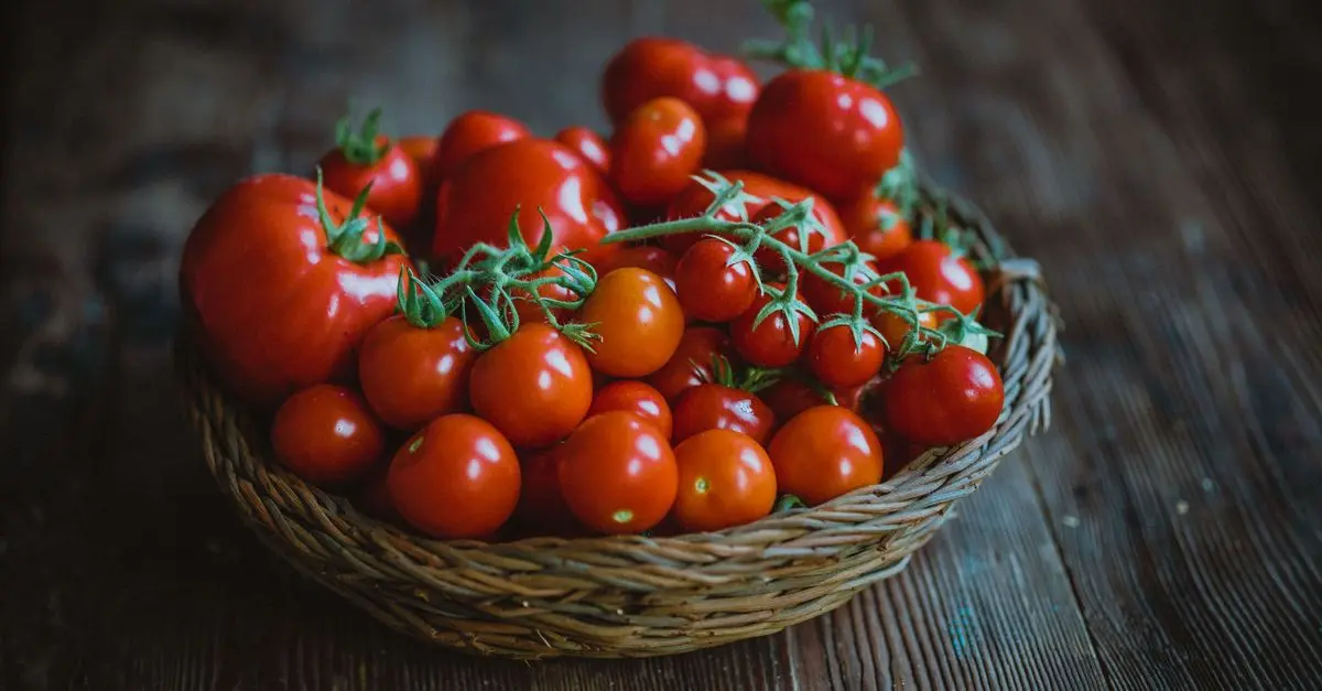 Les Secrets pour Créer un Panier de Légumes Équilibré et Nourrissant