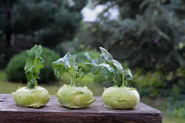 Comment Préparer vos Légumes de Saison pour des Plats Savoureux