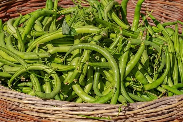 Comment Créer un Panier de Légumes Sain et Équilibré