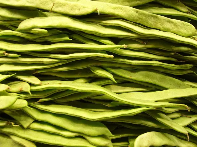 Les Astuces pour Choisir Un Panier de Légumes Idéal