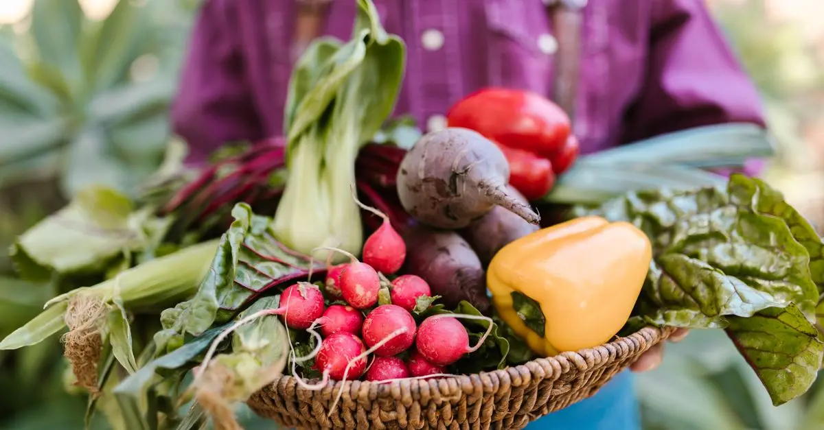 Comment Créer un Panier de Légumes Personnalisé