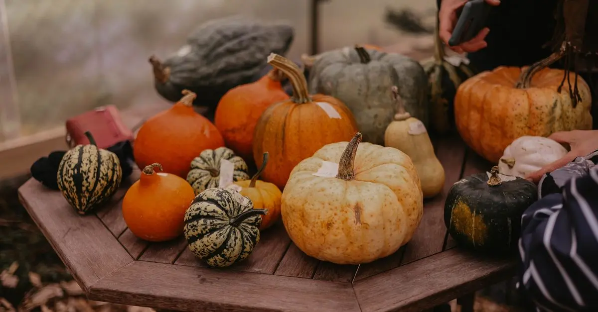 5 Recettes Faciles avec les Légumes de Saison