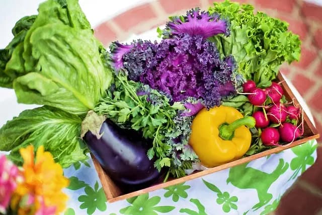 Comment Préparer un Panier de Légumes Équilibré et Nutritif