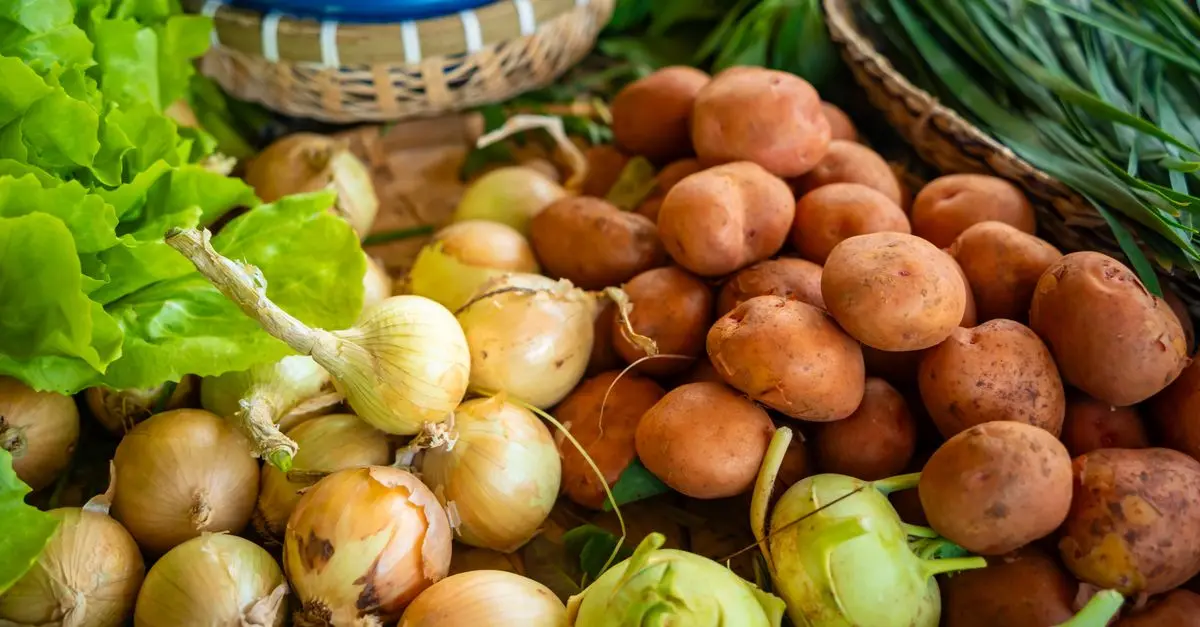 Comment Maximiser les Bienfaits de Votre Panier de Légumes