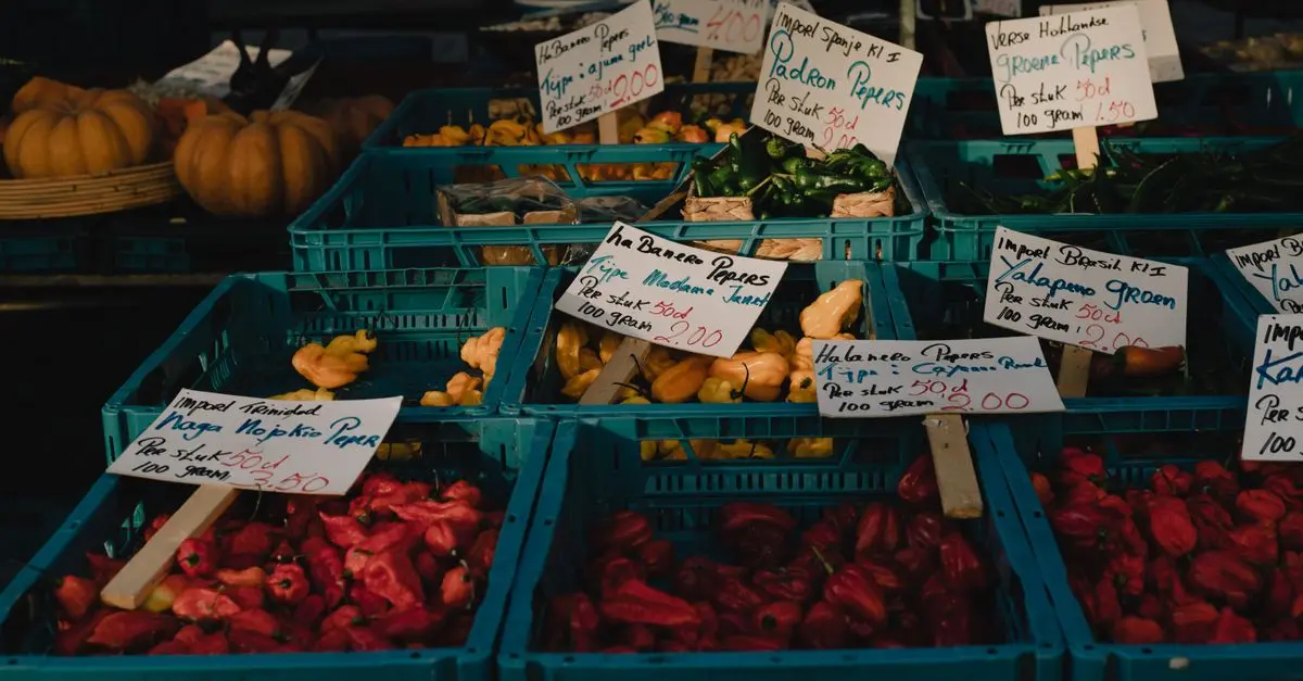 Comment Choisir les Légumes Pour un Panier Parfait