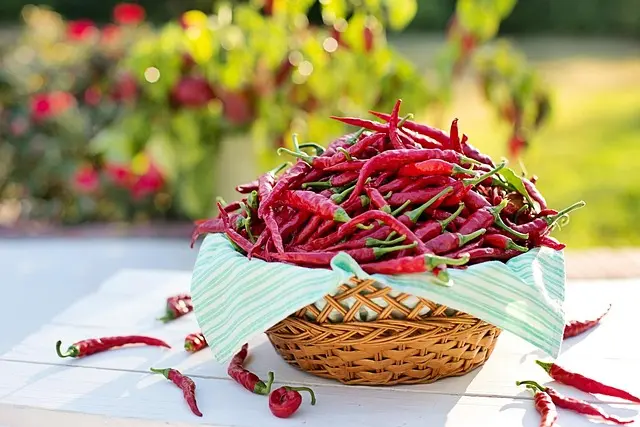 10 Astuces Incontournables pour Maximiser Votre Panier de Légumes