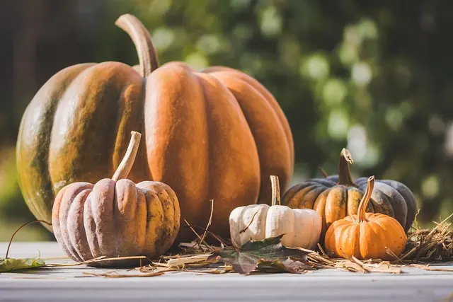 Comment Choisir des Légumes de Saison pour Votre Panier