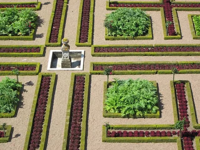 10 Avantages des Paniers de Légumes Locaux