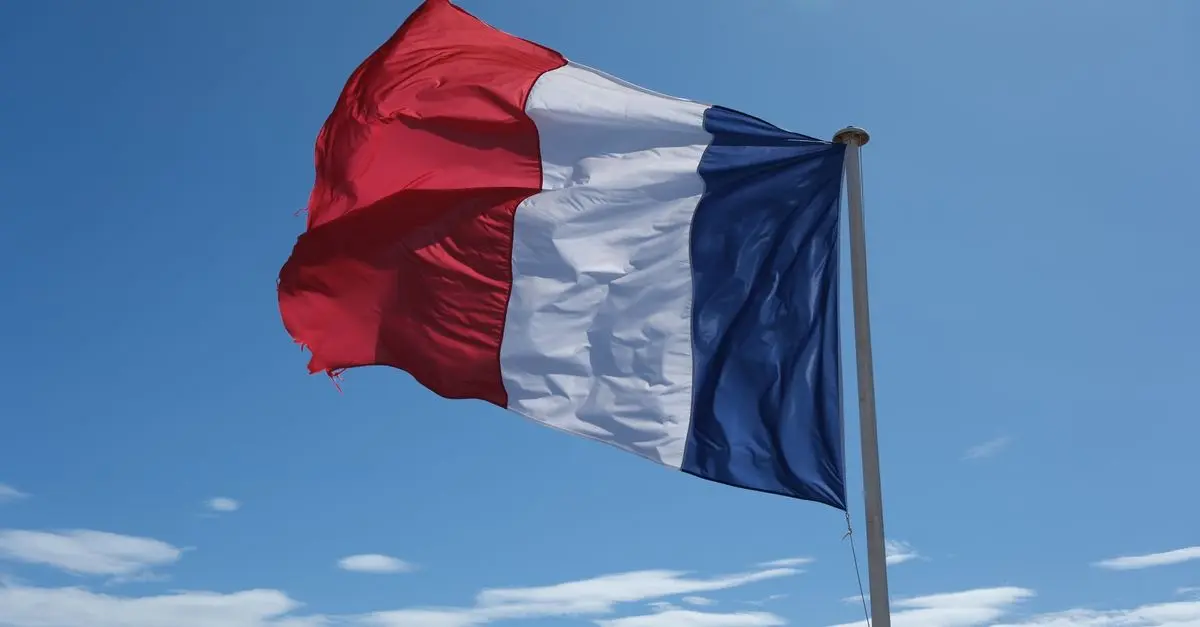 Tendances de la Distribution de Légumes en France en 2026