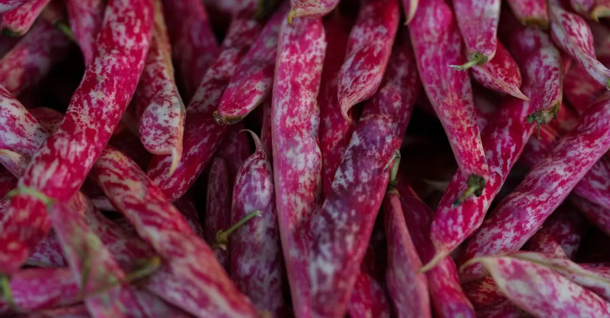 Panier de Légumes : 5 Astuces pour bien le Choisir
