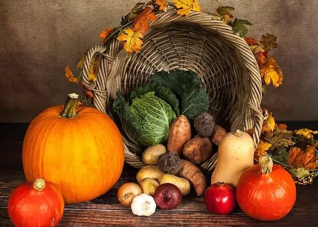 Comment Personnaliser Votre Panier de Légumes pour Vos Besoins