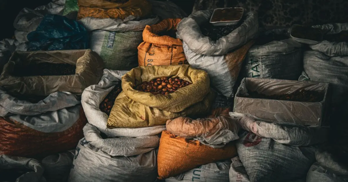 Comment Bien Évaluer les Légumes de Votre Panier
