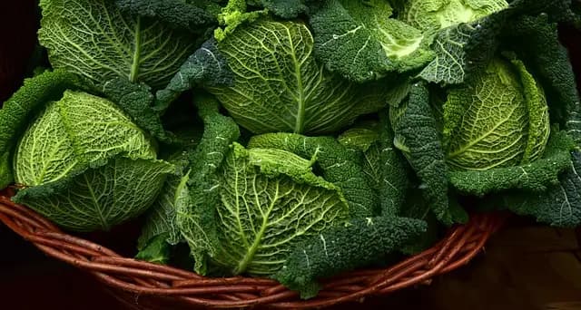 Les Meilleures Façons d'Utiliser Votre Panier de Légumes