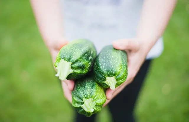 Les Meilleurs Légumes à Inclure dans Votre Panier de Légumes