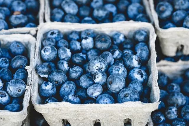 Les Meilleures Façons de Préparer Votre Panier de Légumes