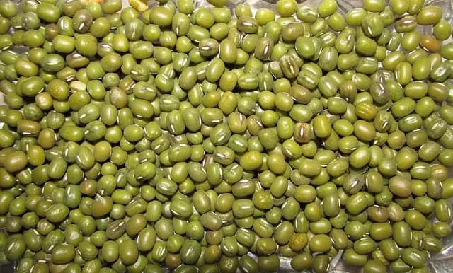 Les Bienfaits de Diversifier Votre Panier de Légumes