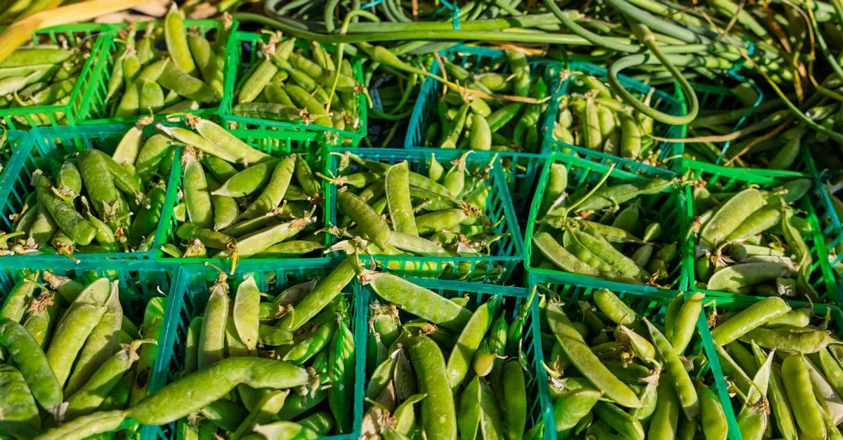 L'Importance des Légumes Locaux dans Votre Panier