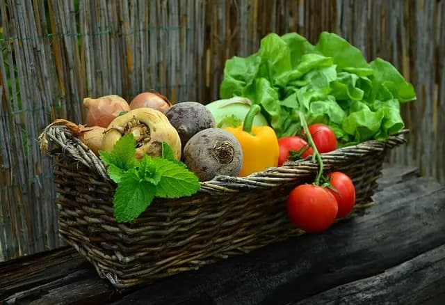 10 Astuces pour Équilibrer les Légumes de Votre Panier