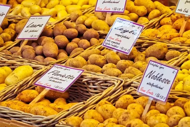 Comment Créer un Panier de Légumes Équilibré et Varié
