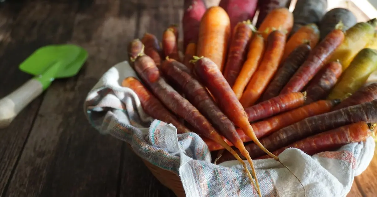 5 Étapes pour Composer le Panier de Légumes Parfait