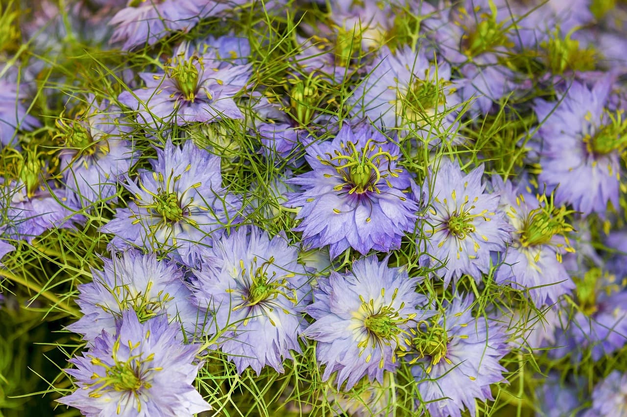 Comment Associer les Légumes de Votre Panier pour Des Plats Savoureux