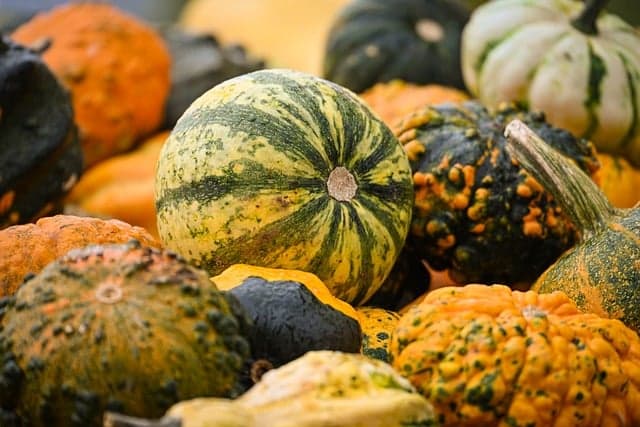 Les Astuces Incontournables pour Maximiser Votre Panier de Légumes