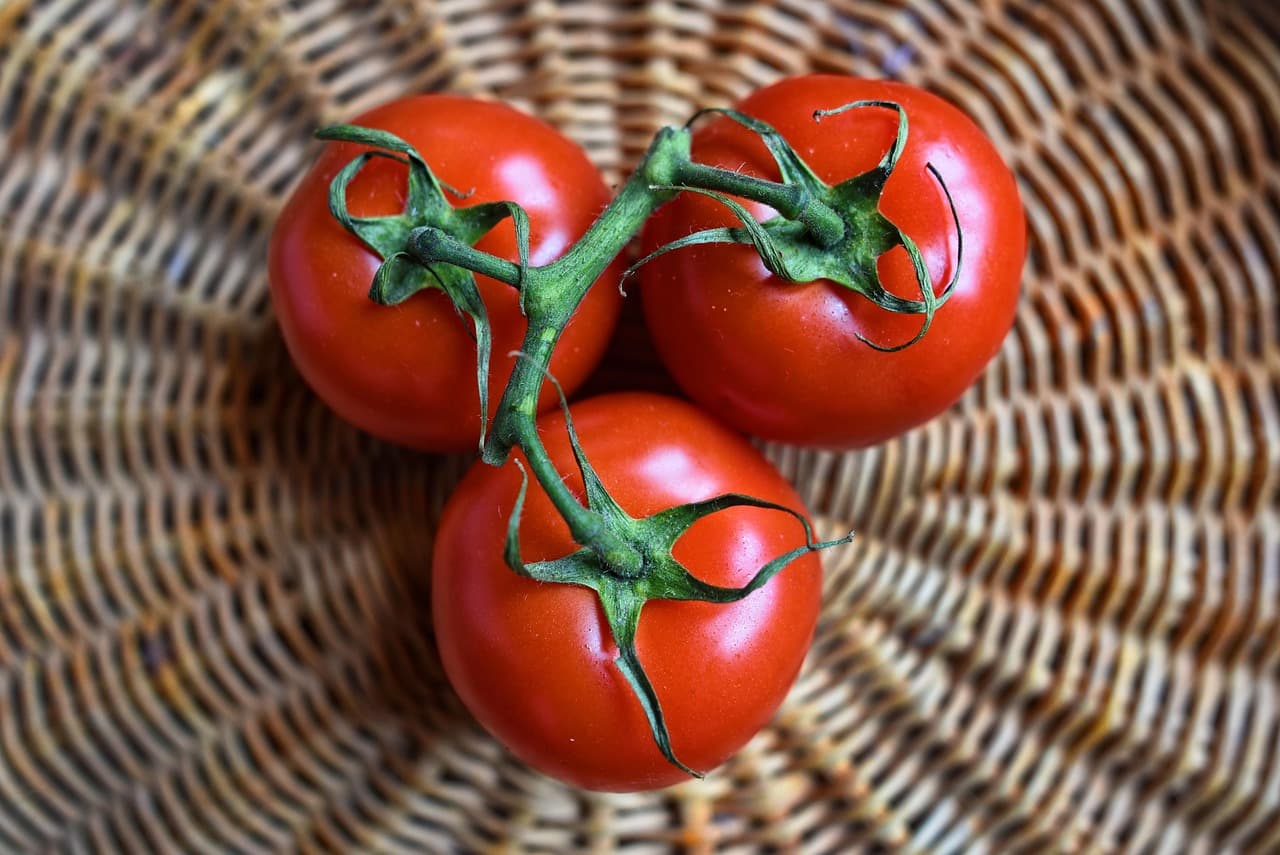 10 Recettes Faciles à Réaliser avec votre Panier de Légumes