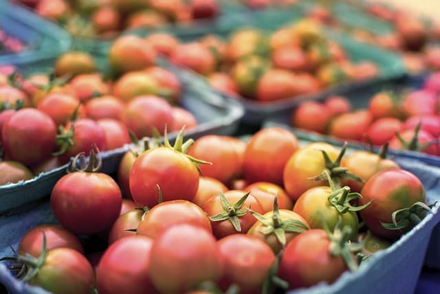 10 Astuces Pour Choisir le Bon Panier de Légumes