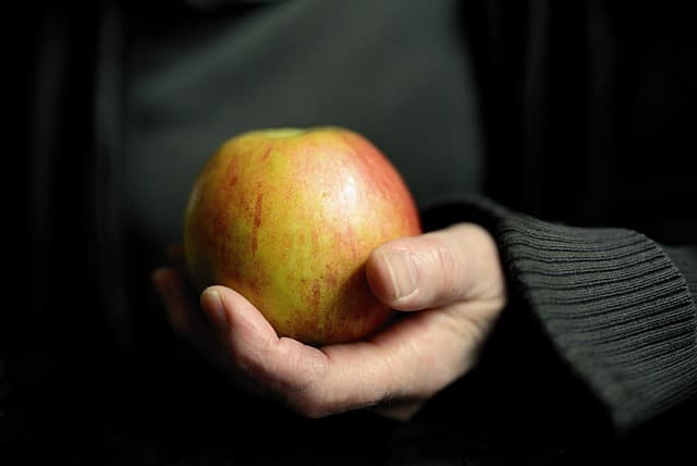 Comment Créer un Panier de Légumes Équilibré et Varié