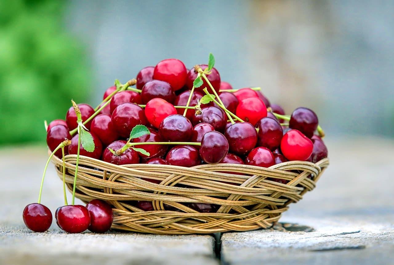 Les Légumes à Intégrer dans Votre Panier pour une Alimentation Équilibrée