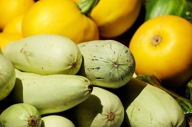 Les Bienfaits de Diversifier Votre Panier de Légumes