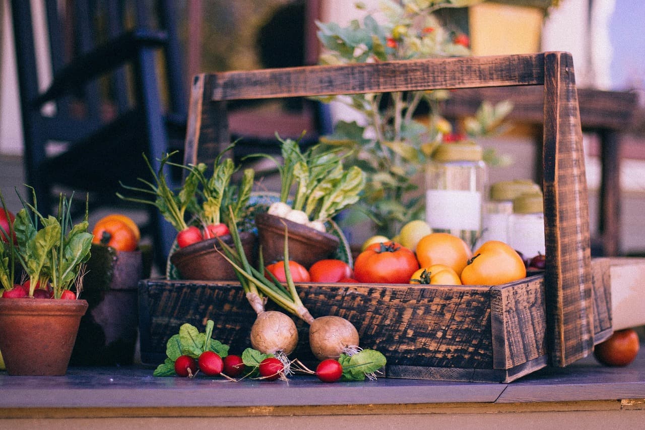Les Bienfaits des Légumes de Saison dans votre Panier