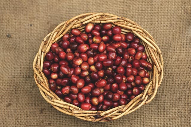 Les Avantages de Choisir un Panier de Légumes Bio